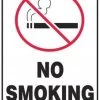 Accuform MSMK919VP Bilingual Safety Sign: No Smoking (Symbol)