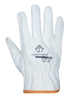 Superior Glove 378GKGTL Endura - No Snap